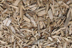 biomass boilers Wartnaby